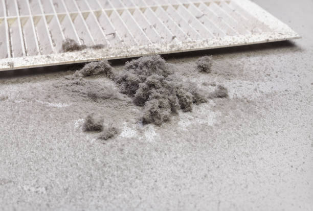 Best HVAC System Cleaning  in Constantine, MI