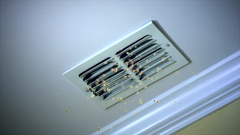 Best HVAC Air Duct Cleaning  in Constantine, MI