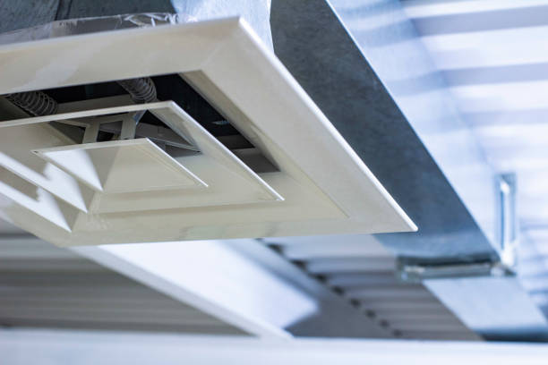 Best Ductwork Cleaning Services  in Constantine, MI