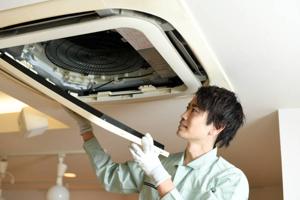 Best HVAC Air Duct Cleaning  in Constantine, MI